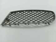 Gitter vorne unten BENTLEY FLYING SPUR (3W_) 6.0 3W5807683
