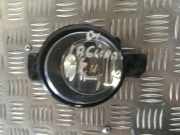 Nebelscheinwerfer links RENAULT LAGUNA II (BG0/1_) 1.9 dCi (BG08, BG0G) 8200002469