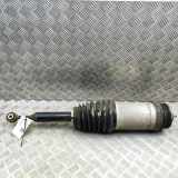 Pneumo-Stoßdämpfer hinten links TESLA MODEL X P90D AWD 1027461-00-G