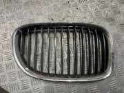 Vorderer oberer Gitter BMW 7 (E65, E66, E67) 730 d 7211658