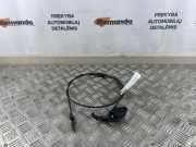 Griff Klappenzug Renault Grand Scenic II (JM)