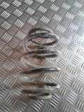 Schraubenfeder hinten links RENAULT CLIO II (BB0/1/2_, CB0/1/2_) 1.9 D (B/CB0E)