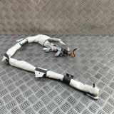 Dach SRS rechts TESLA MODEL X P100D AWD 1036759-00-G