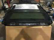 Schiebedach Glas BMW X6 (E71, E72) 7189245