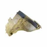 Behälter Scheibenwaschanlage BMW 3er (E46) 7007970