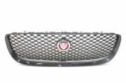Gitter JAGUAR XE (X760) 2.0 X73-018K28-AB