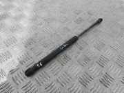 Heckklappe Gasdruckfeder links BENTLEY CONTINENTAL FLYING SPUR (3W_) 6.0 3W5827550B