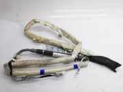 SRS Modul Dach links AUDI Q7 (4L) 3.0 TDI quattro 4L0880741A