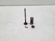 Auslassventile NISSAN QASHQAI / QASHQAI +2 I (J10, JJ10) 2.0 dCi