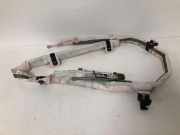 SRS Modul Dach links AUDI Q3 (8U) 2.0 TDI 8U0880742D