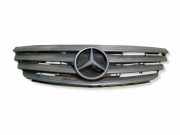 Vorderer oberer Gitter MERCEDES-BENZ A (W169) A 170 (169.032, 169.332) A1698800783