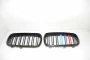 Vorderer oberer Gitter BMW X5 (F15, F85) M 50 d 51117303108 51117303109