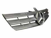 Vorderer oberer Gitter MERCEDES-BENZ A (W169) A 200 CDI (169.308) A1698881260
