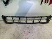 Gitter vorne unten BMW 5 (G60) 520 i Mild-Hybrid 8084629