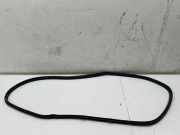 Dichtungsgummi der hinteren Tür (an der Karosserie) NISSAN X-TRAIL IV (T33) 1.5 VC-T Mild Hybrid