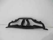 Vorderer oberer Gitter RENAULT CLIO III (BR0/1, CR0/1) 1.5 dCi (C/BR0G, C/BR1G) W0000123683 628101467R