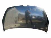 Motorhaube OPEL AGILA (B) (H08) 1.3 CDTI