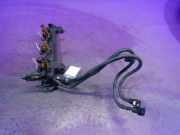 Einspritzleiste Peugeot 406 Coupe (8C) 9632577580