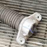 Stoßdämpfer links hinten Hyundai Tucson III (TL, TLE) 55300D7000