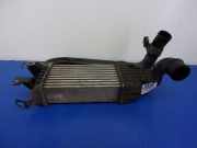 Ladeluftkühler Opel Astra H Kasten () 13128926