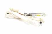 Airbag Dach rechts Audi A3 (8P) 8P4880742H