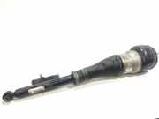 Stoßdämpfer hinten rechts MERCEDES-BENZ S (W222, V222, X222) S 500 Hybrid / e (222.163) A2223200413