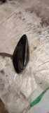 Antenne HYUNDAI TUCSON (NX4E, NX4A) 1.6 T-GDi Hybrid 234445AA0902