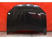 Motorhaube VW Golf V Plus (5M, 521)