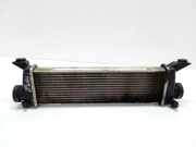 Ladeluftkühler MERCEDES-BENZ A (W168) A 170 CDI (168.009, 168.109) 01009990000 A1685000000