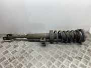 Stoßdämpfer vorne links BMW 5 Touring (F11) 530 d 31316797767 6797767