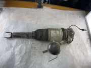Pneumo-Stoßdämpfer hinten links AUDI A8 D3 (4E2, 4E8) 4.2 FSI quattro 4E0616002F