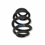 Schraubenfeder hinten links VW TRANSPORTER VI (T6) Minibus / passenger (SGB, SGG, SGJ) 2.0 TDI 74487