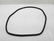 Türdichtung Renault Laguna III (T) 908300015R