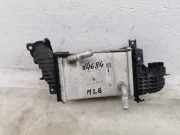 Abgaskühler Ford Focus IV (HN) JN1Q6C896AD