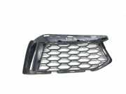 Gitter Grill vorne links BMW 5 (G30) M 550 i xDrive 8063421