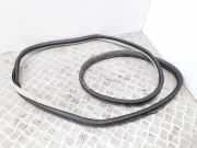 Türgummi links vorne Citroen C4 II Grand Picasso ()