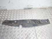 Anzeigetafel Rahmen RENAULT MEGANE II Estate (KM0/1_) 1.9 dCi 8200116717 32451