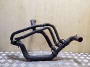 Schlauch Kühlung RENAULT SCÉNIC II (JM0/1_) 1.9 dCi (JM0G, JM12, JM1G, JM2C) 800331615C