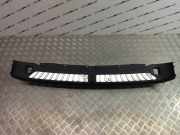 Zierleiste BMW X3 (G01, F97) 7396612