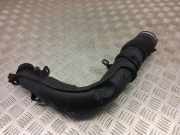 Kühlerluftumlenker PEUGEOT RCZ 2.0 HDi M06021A152