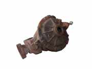 Differenzialgetriebe hinten JAGUAR S-TYPE (X200) 2.7 D