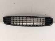 Kühlergrill unten Mini Mini Countryman (R60)