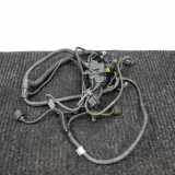 Motor Kabelbaum BMW 5 (F10) 530 i 7589638