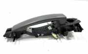 Türaußengriff hinten rechts LAND ROVER RANGE ROVER SPORT (L320) 2.7 D 4x4 FPH500224A 060113A