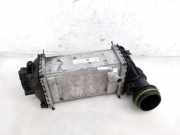Ladeluftkühler VW GOLF VIII (CD1) 1.0 TSI 05C145785C