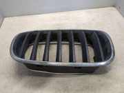 Vorderer oberer Gitter BMW X5 (E70) xDrive 30 d 51137171396