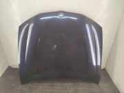 Motorhaube BMW X3 (F25) xDrive 35 d 7267337