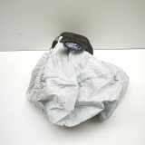 Lenkrad Airbag FORD TRANSIT CUSTOM Minibus / passenger 2.2 TDCi BK21-V042B85-AB