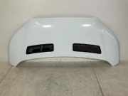 Motorhaube FORD TRANSIT 2.0 TDCi 2485550