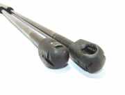 Heckklappe Gasdruckfeder rechts FIAT DOBLO MPV (119_, 223_) 1.3 JTD 16V